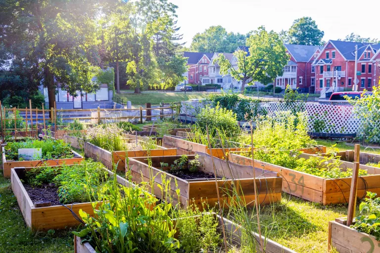 Community Gardens