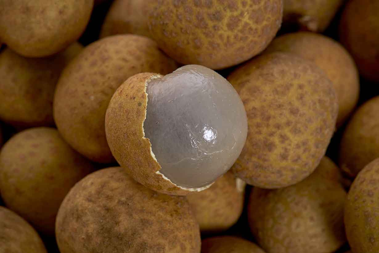 Longan