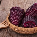 Purple Corn
