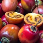 Tamarillo