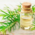 tea tree oil