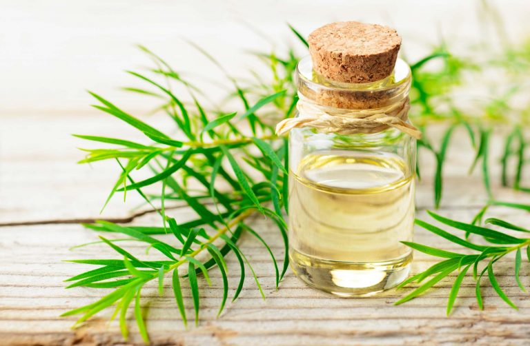tea tree oil