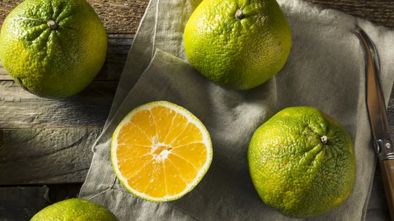 ugli fruit