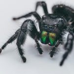 41d55832 4029 434d 9ca2 8ae7fde44f54 1