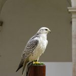 52dc9b24 6adb 4a1c b8b4 db3f11701c4a 1