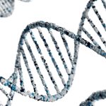 59a26e3b b77b 4956 bffe dd7b1692fcdd 1