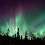 silhouette of trees near Aurora Borealis at night