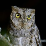 805912d0 383e 435b b16d 0cff8f952302 1