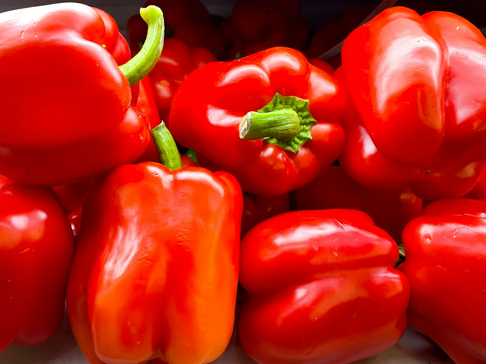 Are canned bell peppers good for you? 1 a group of red tomatoes