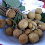 Longan fruit