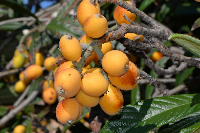 091e1f95 44c5 4ce6 a54d ccc815bf5756