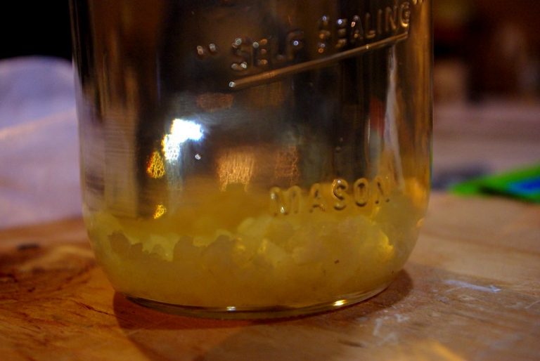 2a9f788b 459b 4a2a 8162 cd1d625a33a5