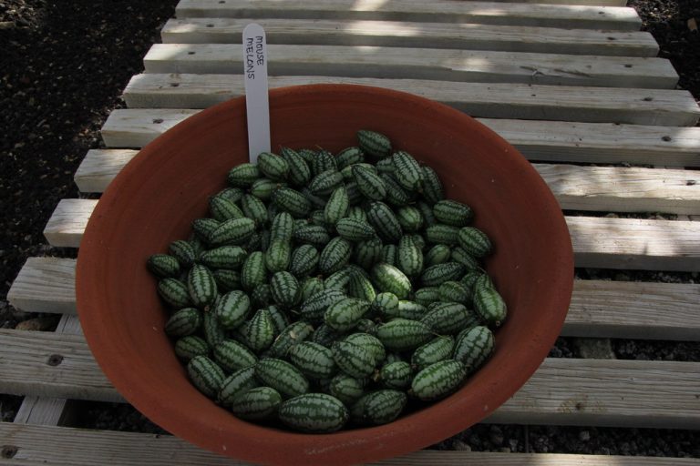 2e27fabb 7596 4f86 a852 72debc9651a0