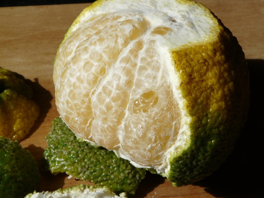 Ugli fruit