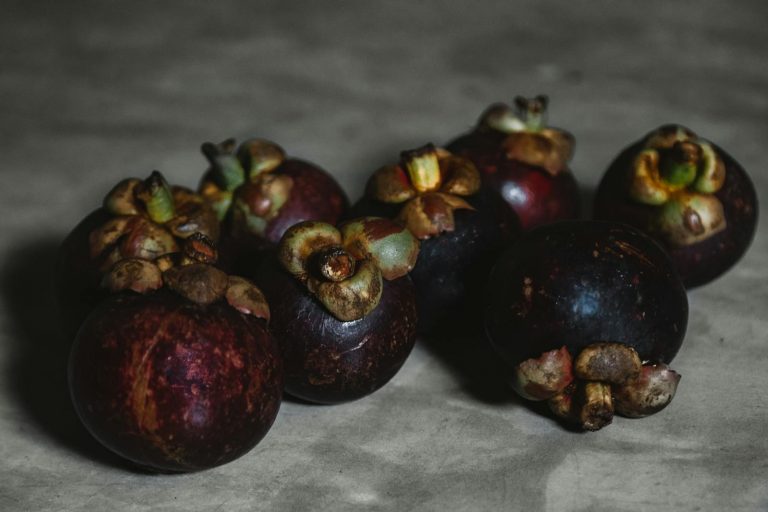 Close-up Photo of Mangosteen Fruit
