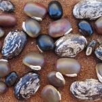 9284cc54 76b6 470a 9840 07c2d5b1bbdc