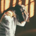 c54258f8 0b8c 40b7 b319 04513e36b15e 1