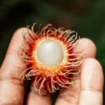 Rambutan