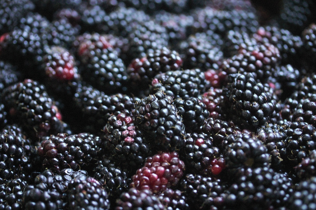 Marionberries