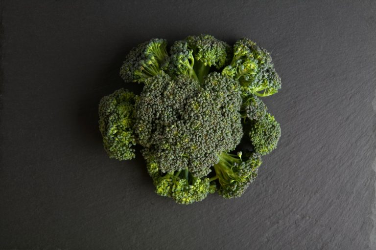 green broccoli on gray textile