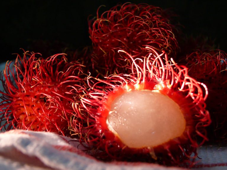 Rambutan
