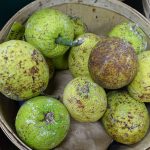 285338c8 5369 4ec7 91de 21b60c0df839