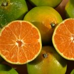 citrus fruits