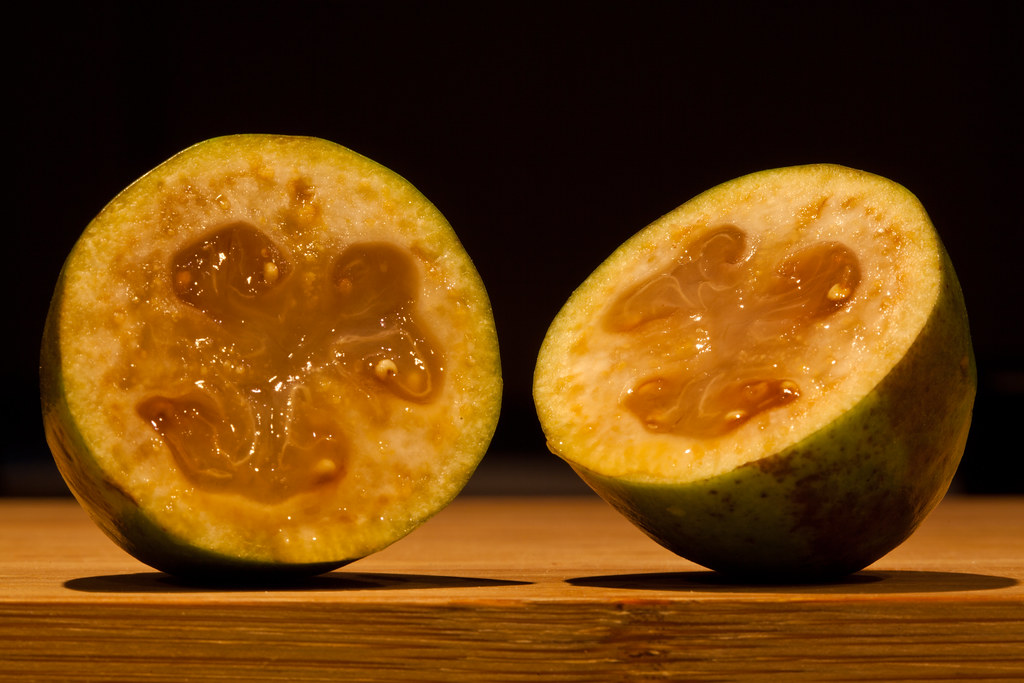 Feijoa