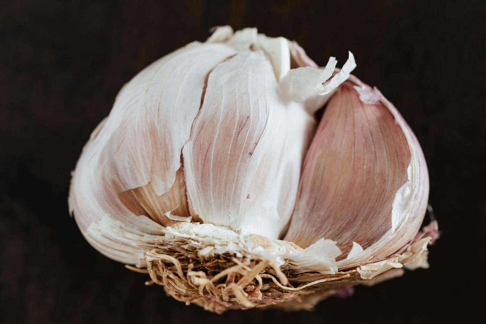 14 Best Foods High in Allicin for Immune Support 1 garlic