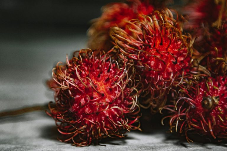 Rambutan Fruit