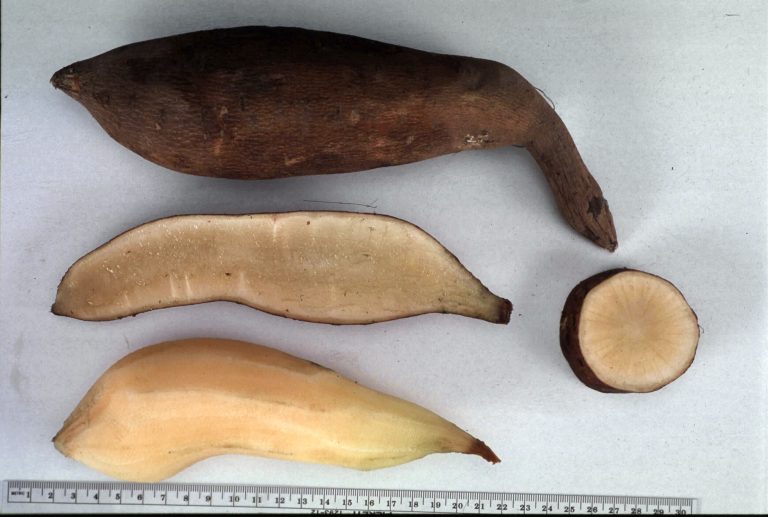 49bda0fd f807 41b7 8135 3075192900f5