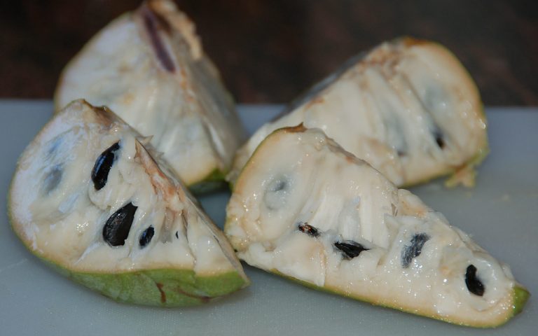 4f71de98 7a96 4fdd a9ae 2d644ac54833