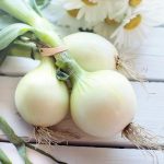 White Onions