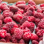 882e812c 7b4c 4b49 bc9d 5850c0ada409