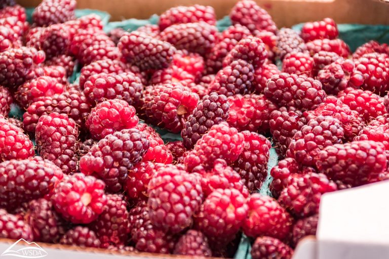 882e812c 7b4c 4b49 bc9d 5850c0ada409