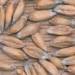 89cc012d 8f5c 49b5 be99 094b0fa82612