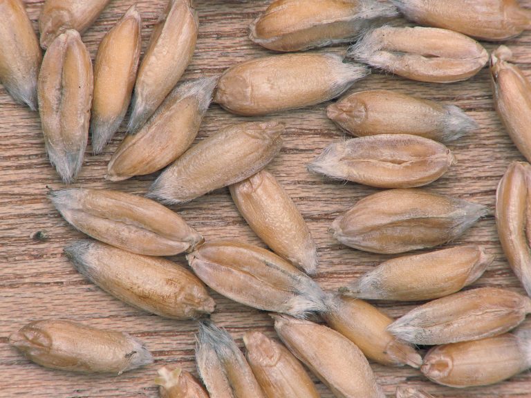 89cc012d 8f5c 49b5 be99 094b0fa82612