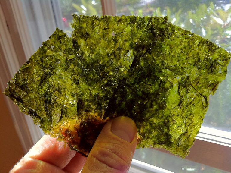 seaweed snacks