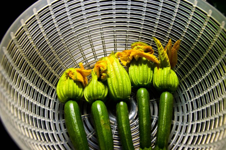 b2e6e142 67c6 4e40 8337 2970474802ed