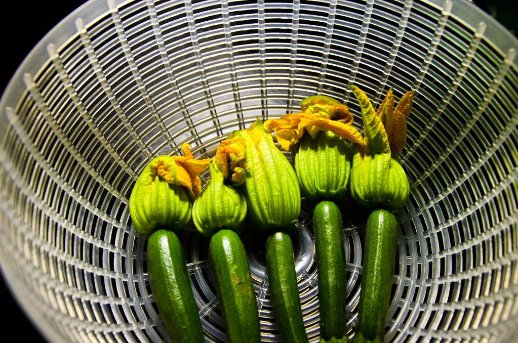 b2e6e142 67c6 4e40 8337 2970474802ed