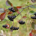 c1cad637 0e9e 4762 a7ad 163b0654551a