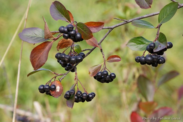 c1cad637 0e9e 4762 a7ad 163b0654551a