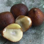 Salak