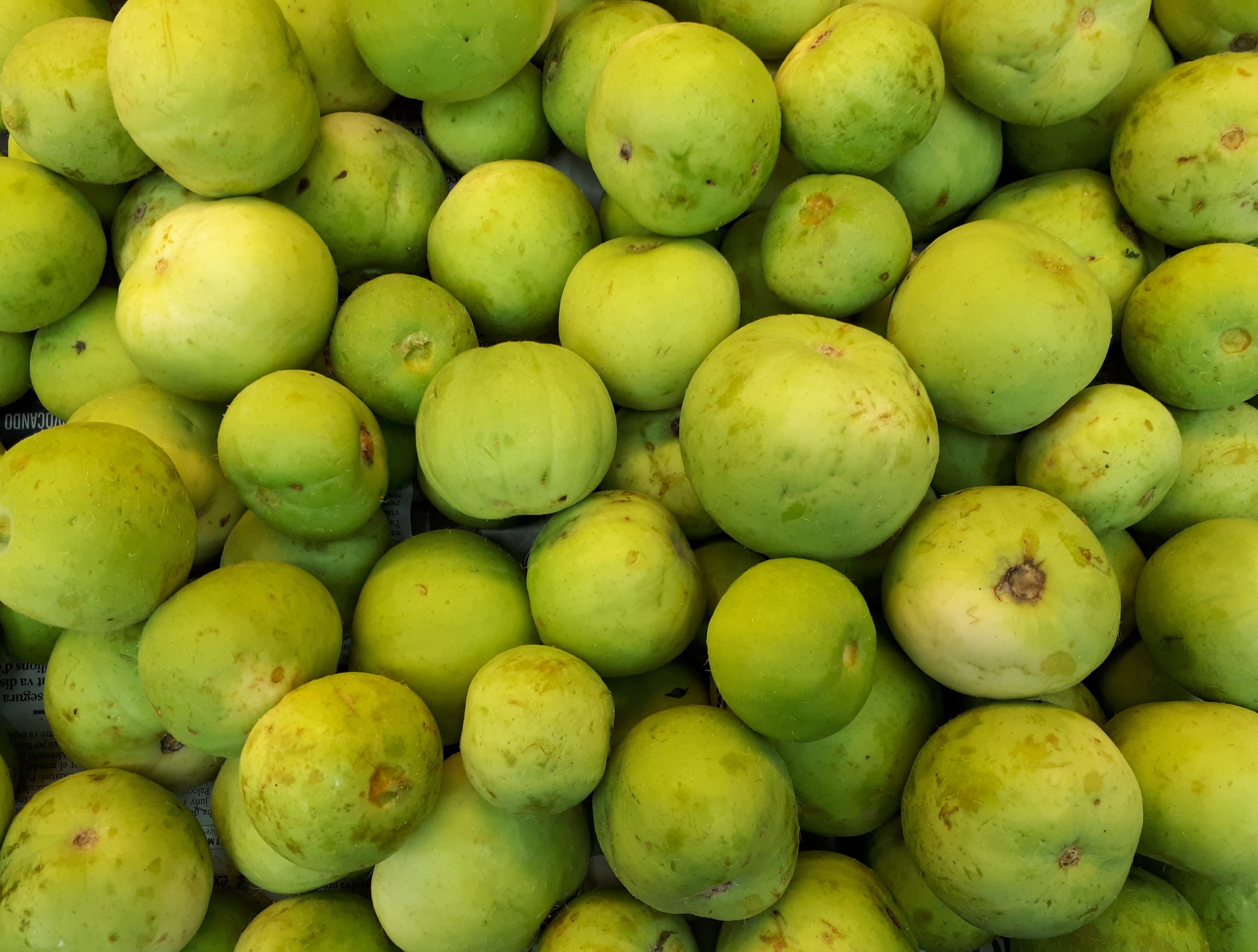 d2165df4 e47a 45f4 9f91 d9369c44d831 scaled