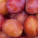 plums