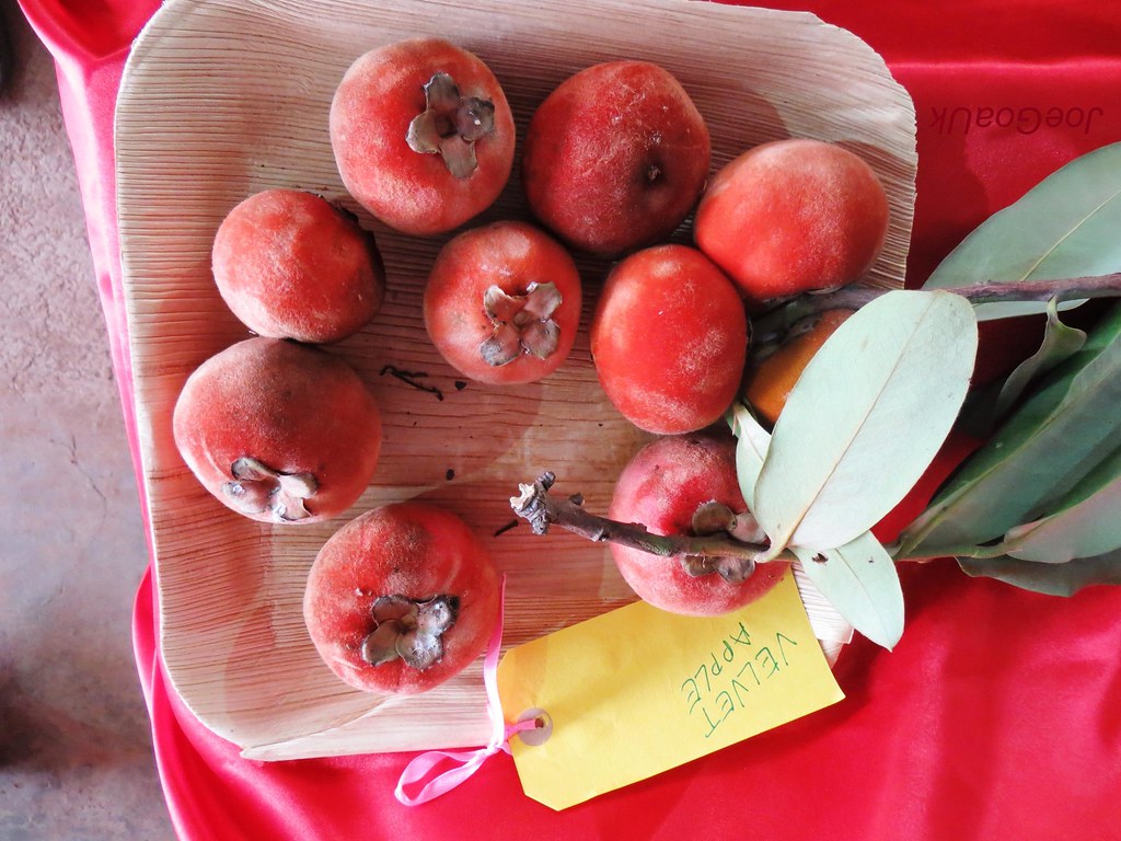 fac5aeaf ede4 41e0 b07e 85f3574d4e8c