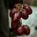 red grapes