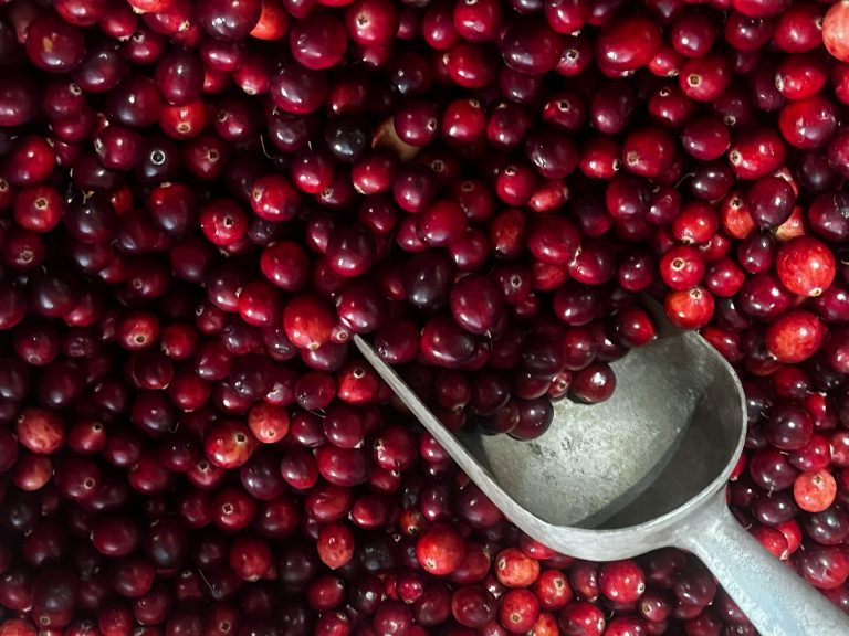 cranberries