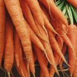 closeup photo of bunch of orange carrots