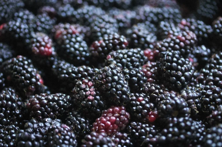 Marionberry